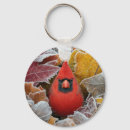 Search for cardinal bird key rings Nature