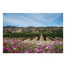 Search for vineyards posters Farm