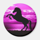 Search for horse lovers magnets Purple