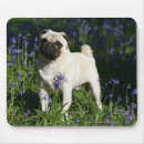 Search for alert mouse mats Pug