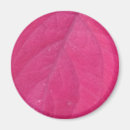Search for fall leaf magnets Autumn