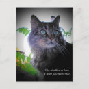 Search for be nice postcards Funny