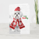 Search for cute shih tzu christmas cards Dogs