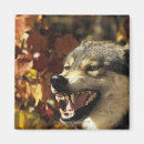 Search for aggression magnets Horizontal