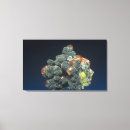 Search for calcium art Geology