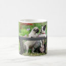 Search for funny boston terrier mugs Pug