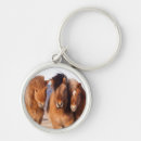 Search for icelandic horses key rings Superstock