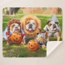 Search for halloween blankets Funny