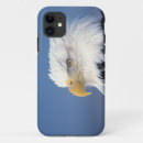 Search for haliaeetus iphone cases Wildlife