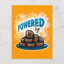 Search for junk postcards Doughnuts