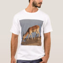 Search for african antelope clothing Wildlife