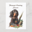 Search for gordon postcards Setter