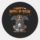 Search for pointer dog stickers German