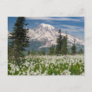 Search for avalanche postcards Blue