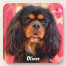 Search for dog show barware Pet
