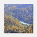 Search for pass magnets Yellow