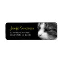 Search for black and white cat return address labels Animals