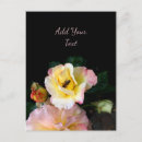 Search for insect postcards Honeybee