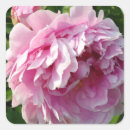 Search for cottage garden stickers Floral