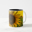 Search for kansas sunflower mugs Sunflowers
