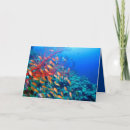 Search for coral reef cards Tropical