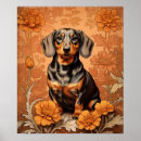 Search for doxies posters For her