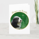 Search for bearded collie cards Breed