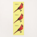 Search for cardinal bird Cardinalis cardinalis