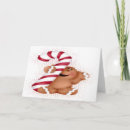 Search for ginger cards Fun