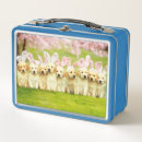 Search for dog lunch boxes Cute animal