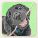 Search for playful coasters Happy