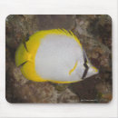 Search for underwater life mouse mats Outdoors