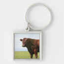 Search for brown cow key rings Outdoors