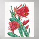 Search for vintage cactus art Flowers