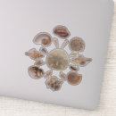 Search for shell collection stickers Beach