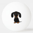 Search for black ping pong balls Dog