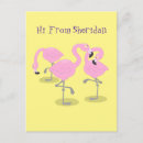 Search for cartoon flamingo postcards Illustration