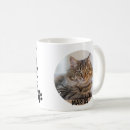 Search for best cat dad ever Kitten