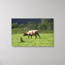 Search for outdoor canvas prints Wildlife