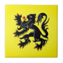 Search for belgian tiles Brugge