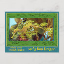 Search for sea dragon postcards Fish