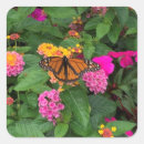Search for yellow butterfly stickers Floral