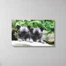 Search for long hair canvas prints Looking at camera