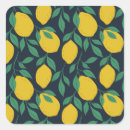 Search for hand drawn fruit stickers Food
