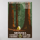 Search for sequoia posters National park