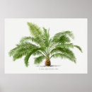 Search for vintage palm posters Green