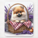 Search for pomeranian mouse mats Puppy