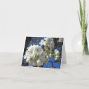 Search for ornament cards Floral