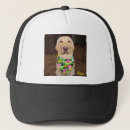 Search for lab hats Humour