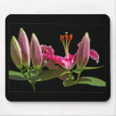 Search for stargazer lily mouse mats Beautiful